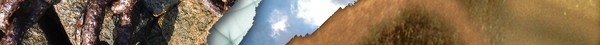 Banner Banner